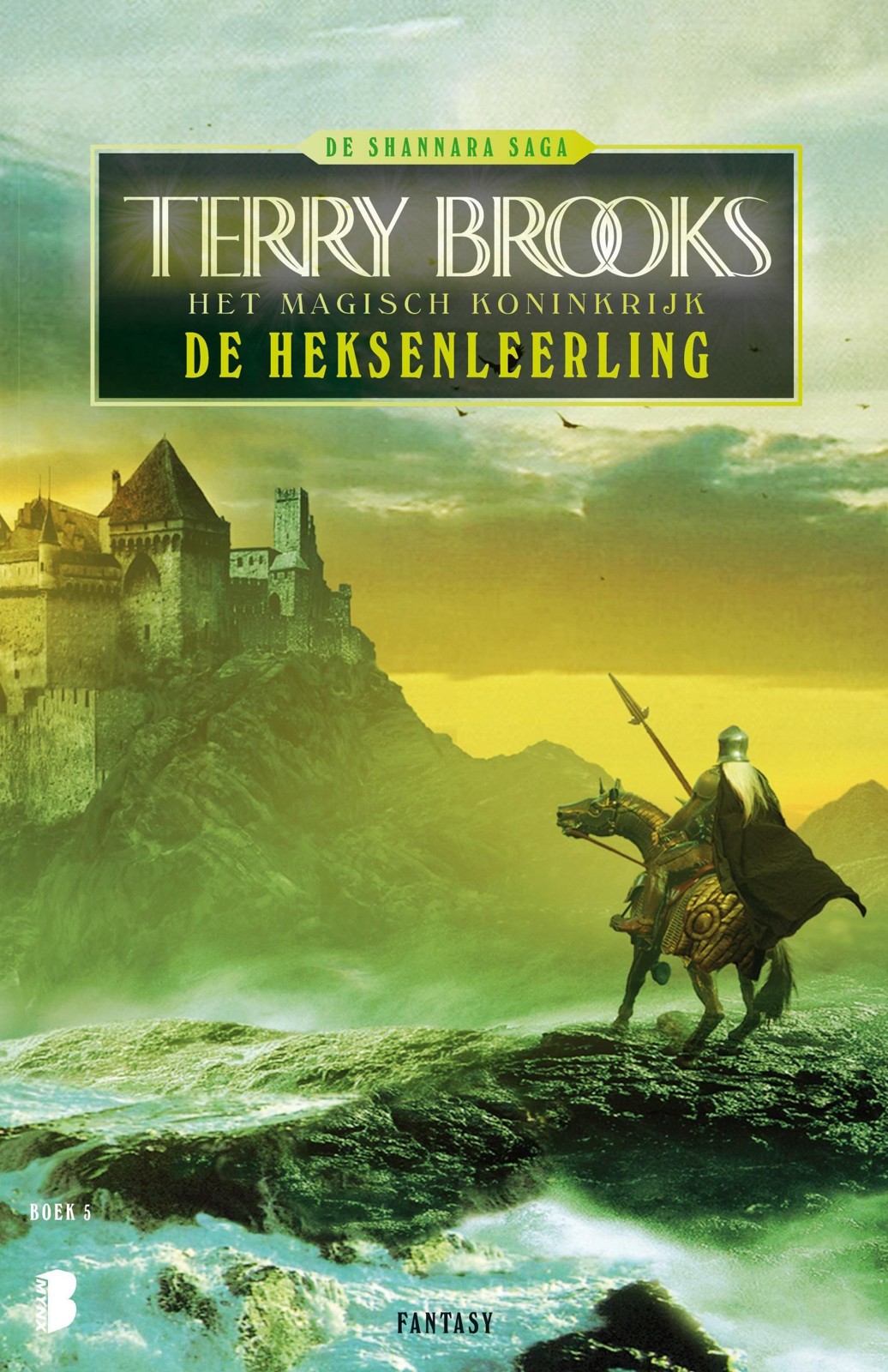 Het Magisch Koninkrijk 5 - De heksenleerling / druk 1